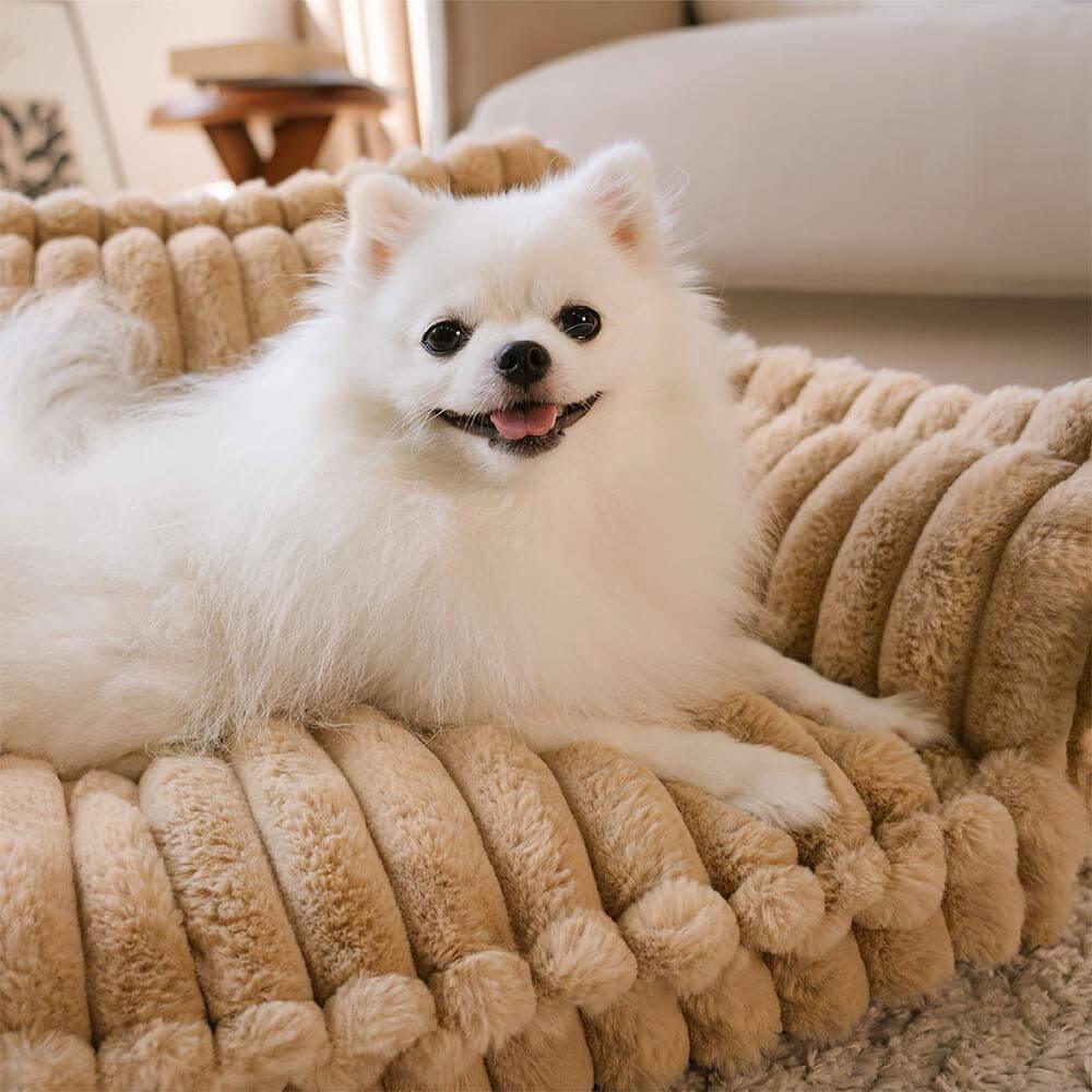 Coussin Canapé Chien: Support Articulaire Premium avec Design Côtelé Élégant - Mon - Coussin – Boutique Française de Coussins Orthopédiques, de Lecture et pour Animaux