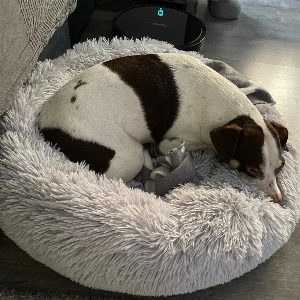Coussin chaud pour chien - Mon - Coussin