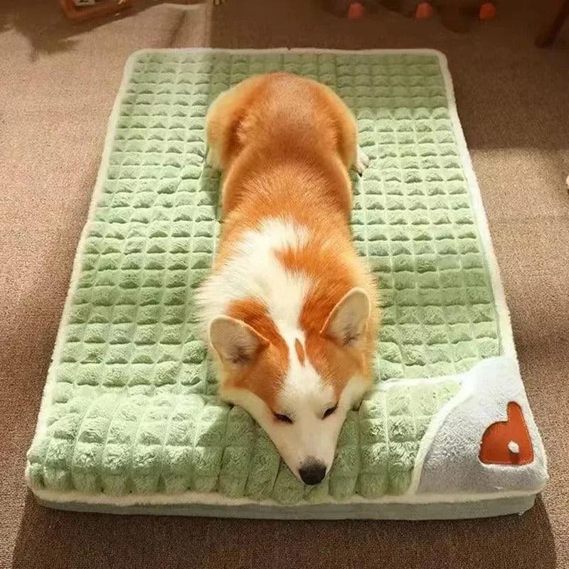 Coussin Indestructible pour Chien - Confort Premium Toutes Saisons - Mon - Coussin – Boutique Française de Coussins Orthopédiques, de Lecture et pour Animaux