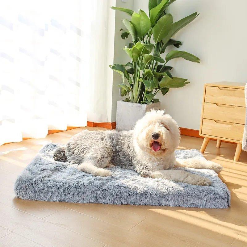Coussin Orthopédique Chien - Le Confort Premium Pour Votre Compagnon - Mon - Coussin