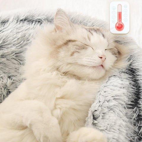 Coussin Panier Pour Chat Apaisant - Mon - Coussin