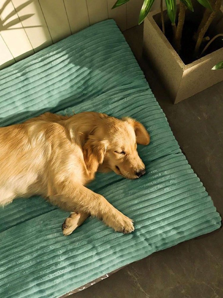 Panier pour grand chien indestructible - Confort premium et durabilité exceptionnelle - Mon - Coussin – Boutique Française de Coussins Orthopédiques, de Lecture et pour Animaux