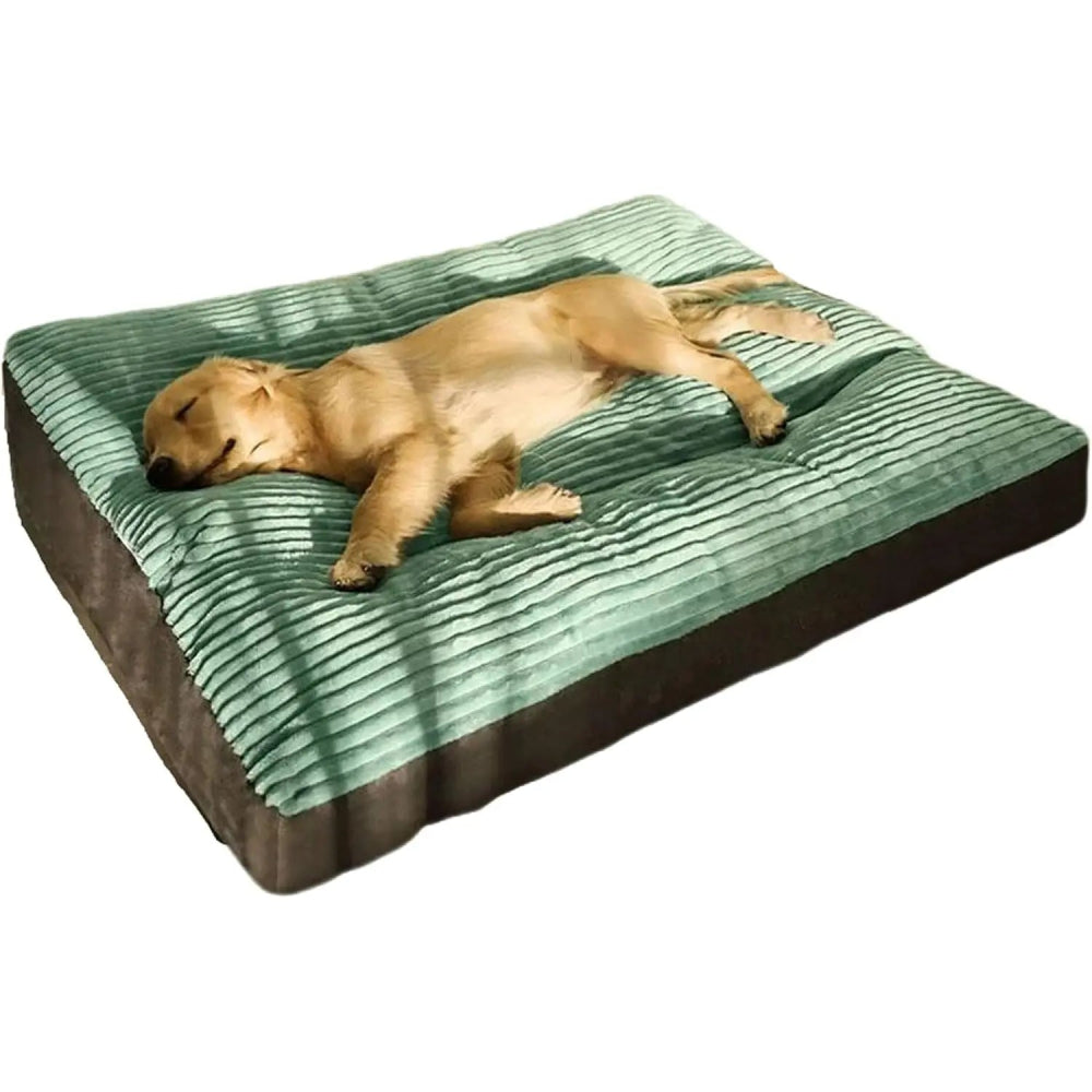 Panier pour grand chien indestructible - Confort premium et durabilité exceptionnelle - Mon - Coussin – Boutique Française de Coussins Orthopédiques, de Lecture et pour Animaux