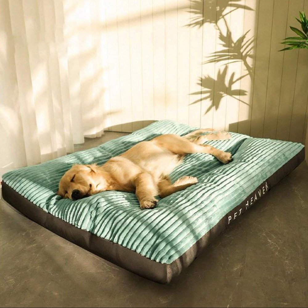 Panier pour grand chien indestructible - Confort premium et durabilité exceptionnelle - Mon - Coussin – Boutique Française de Coussins Orthopédiques, de Lecture et pour Animaux