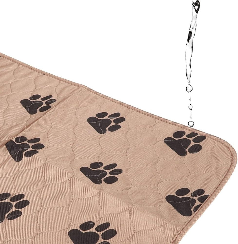 Tapis Absorbant - Propreté Express - Mon - Coussin – Boutique Française de Coussins Orthopédiques, de Lecture et pour Animaux