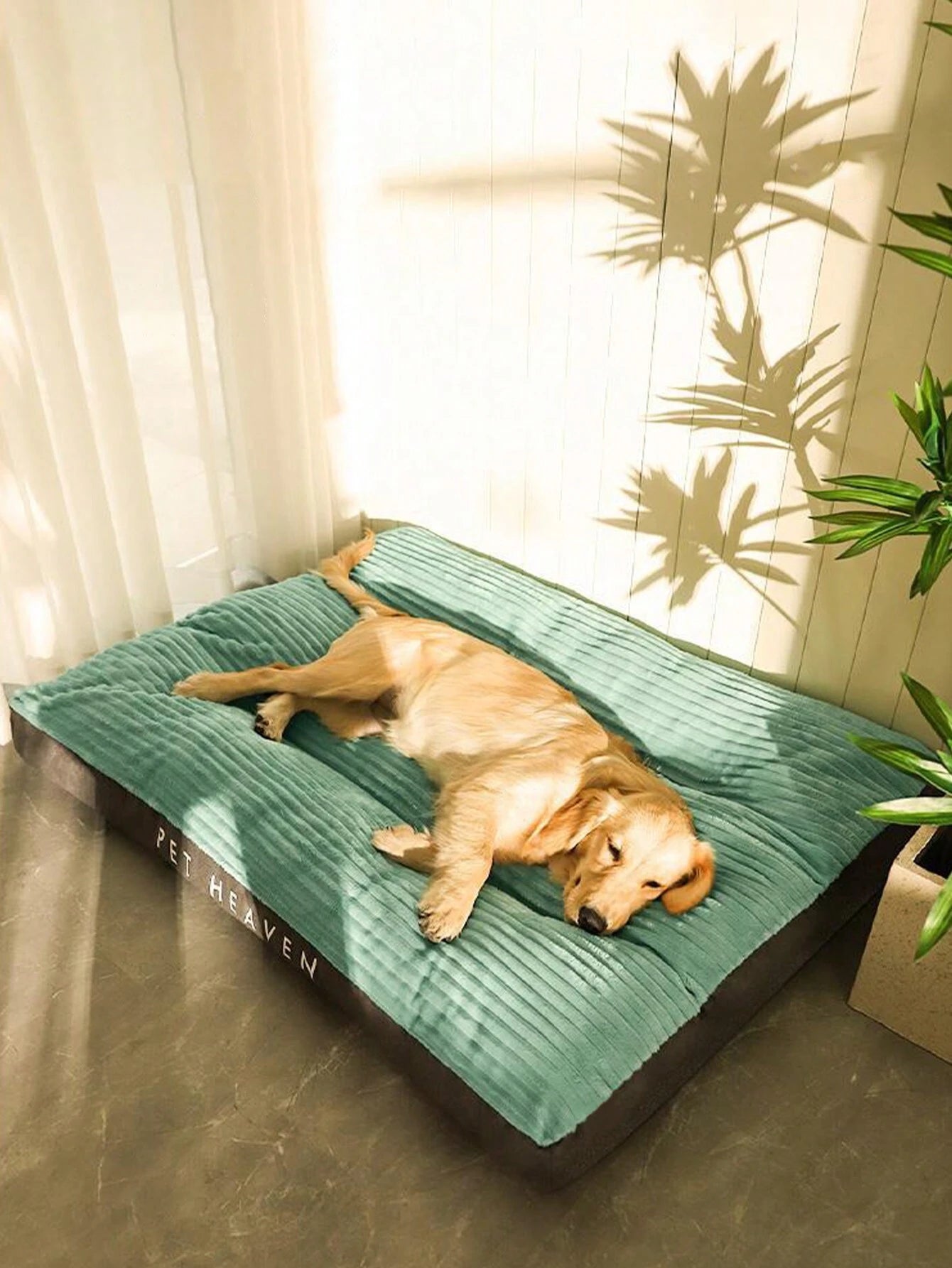 Indestructible Large Dog Bed - Premium Comfort and Exceptional Durability