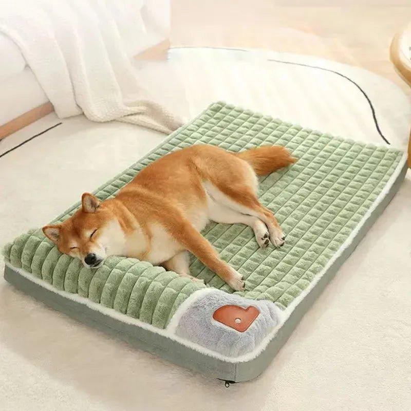 Chien couché sur un coussin indestructible, ultra-confortable et résistant.