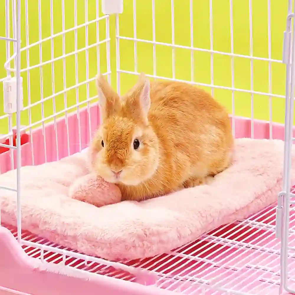 Coussin Pour Lapin Premium : Confort Douillet et Design Élégant