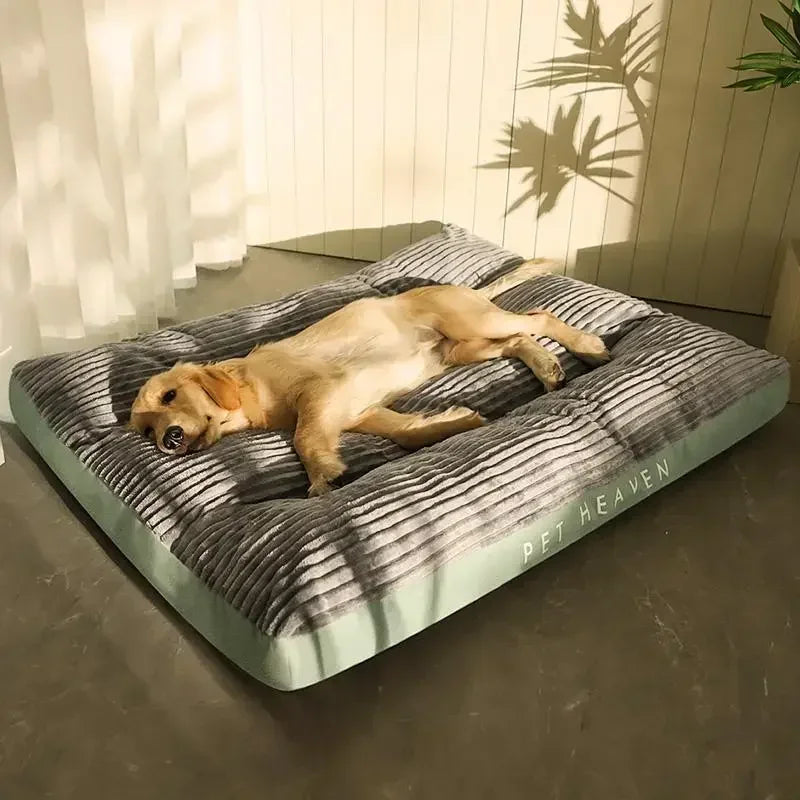 Indestructible Large Dog Bed - Premium Comfort and Exceptional Durability