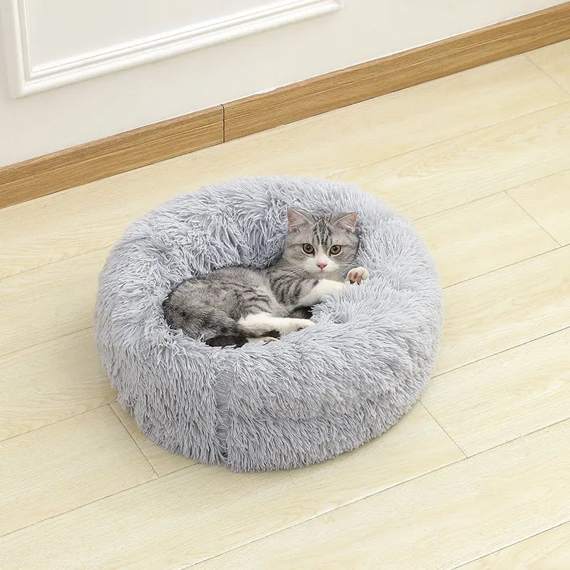 Coussin Canapé Chien : Le Confort Élégant pour Votre Compagnon - Mon - Coussin