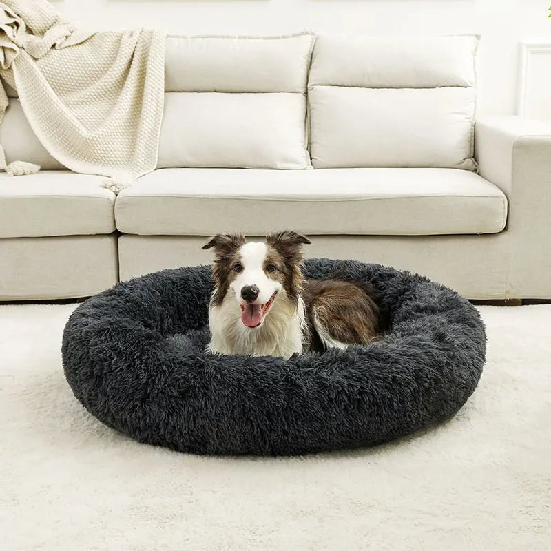 Coussin Canapé Chien : Le Confort Élégant pour Votre Compagnon - Mon - Coussin