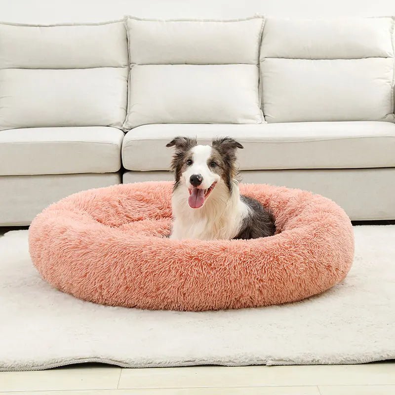 Coussin Canapé Chien : Le Confort Élégant pour Votre Compagnon - Mon - Coussin