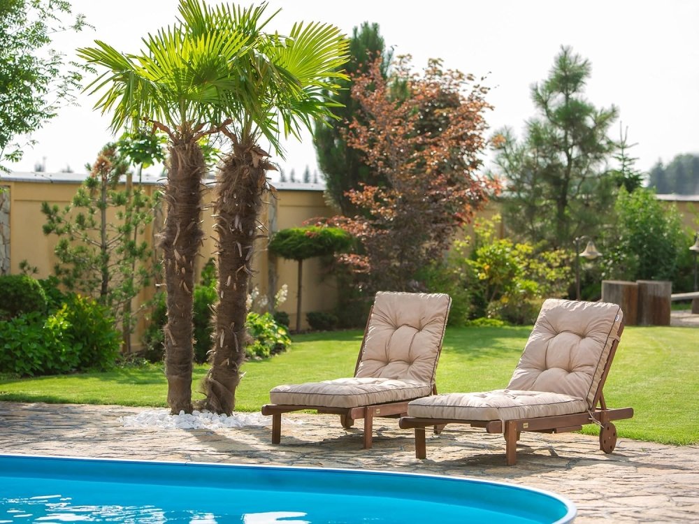 Coussin extérieur pour chaise longue : confort & durabilité pour votre jardin - Mon - Coussin – Boutique Française de Coussins Orthopédiques, de Lecture et pour Animaux