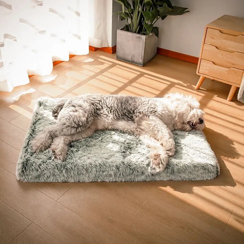 Coussin Orthopédique Chien - Le Confort Premium Pour Votre Compagnon - Mon - Coussin