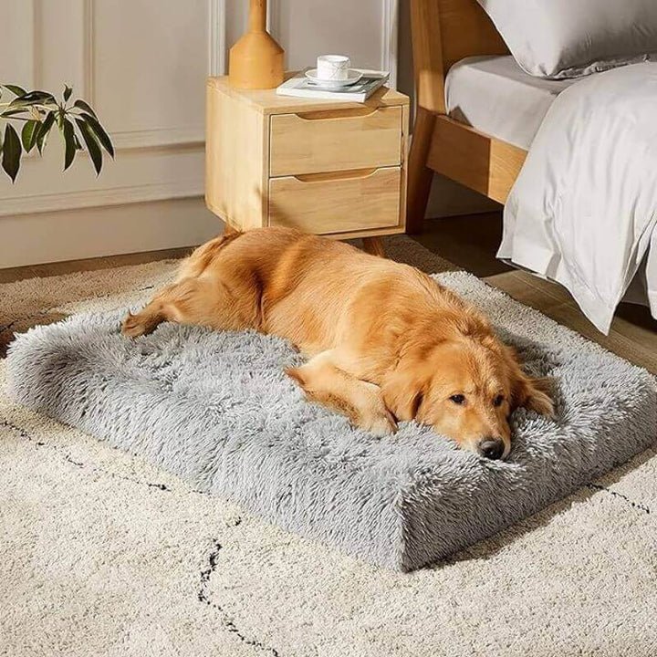 Coussin Orthopédique Chien - Le Confort Premium Pour Votre Compagnon - Mon - Coussin