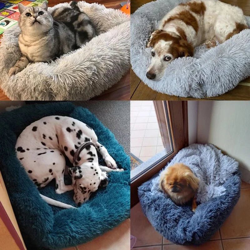 Coussin polaire chien - Mon - Coussin