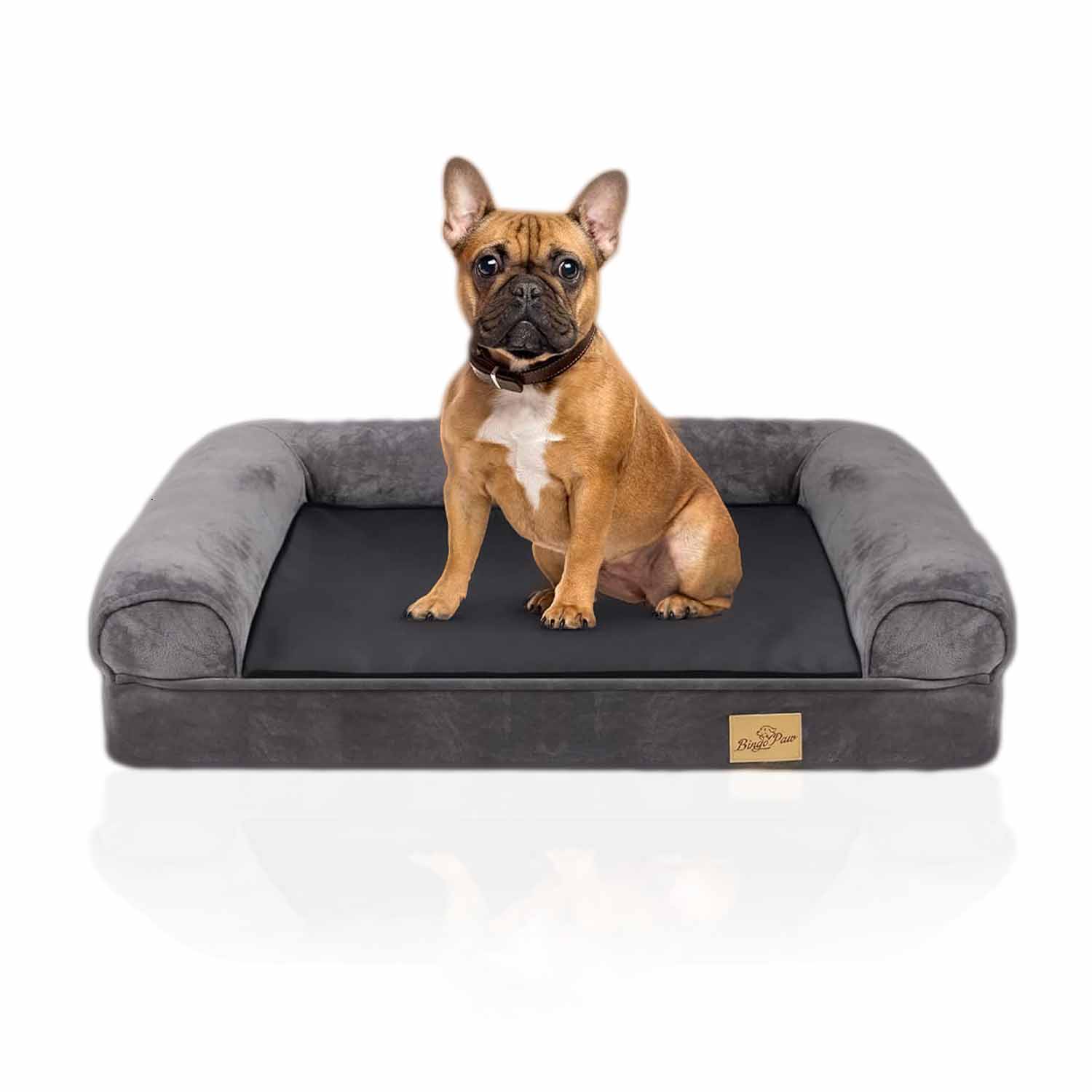 Coussin pour Grand Chien : Alliance du Confort et du Design - Mon - Coussin