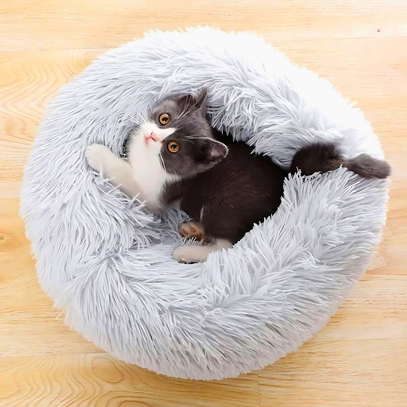 Coussin rond chat - Mon - Coussin