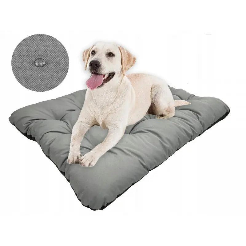 Coussin Chien Indestructible: Robustesse Maximale avec Confort Premium